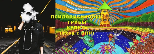 СК Куйбышев