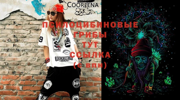 СК Куйбышев