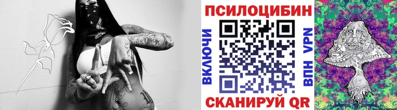 Купить где  Почеп  Псилоцибиновые грибы прущие грибы 
